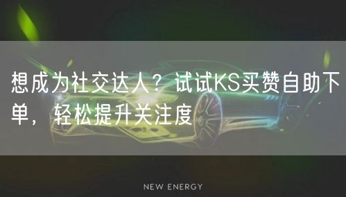 想成为社交达人？试试KS买赞自助下单，轻松提升关注度