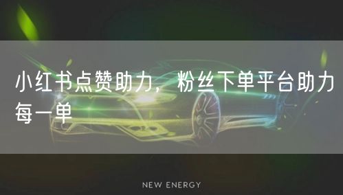 小红书点赞助力，粉丝下单平台助力每一单