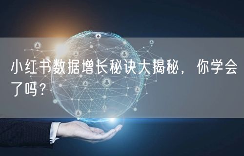 小红书数据增长秘诀大揭秘，你学会了吗？