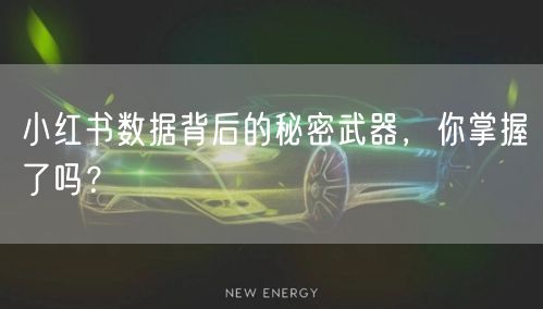 小红书数据背后的秘密武器，你掌握了吗？