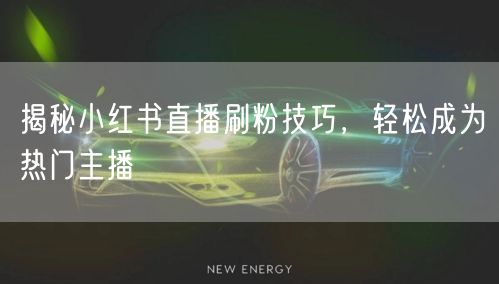 揭秘小红书直播刷粉技巧，轻松成为热门主播