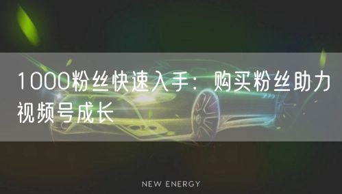 1000粉丝快速入手：购买粉丝助力视频号成长