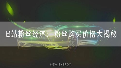 B站粉丝经济：粉丝购买价格大揭秘