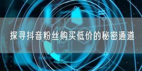 探寻抖音粉丝购买低价的秘密通道