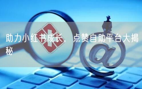 助力小红书成长，点赞自助平台大揭秘