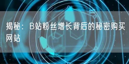 揭秘：B站粉丝增长背后的秘密购买网站