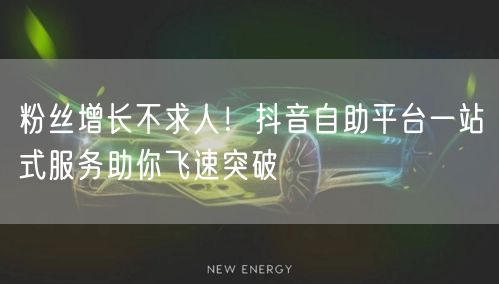 粉丝增长不求人！抖音自助平台一站式服务助你飞速突破