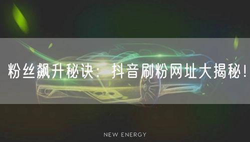 粉丝飙升秘诀：抖音刷粉网址大揭秘！