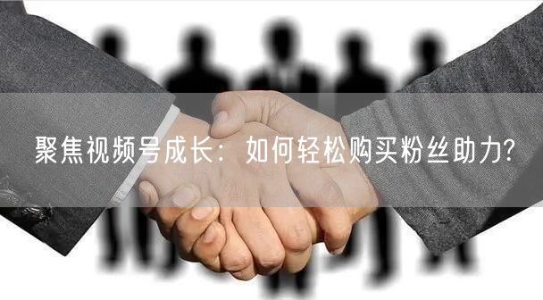 聚焦视频号成长：如何轻松购买粉丝助力?