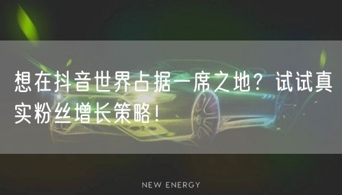 想在抖音世界占据一席之地？试试真实粉丝增长策略！