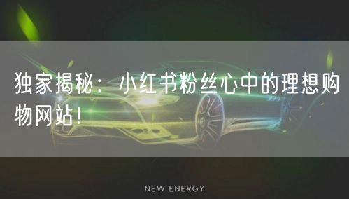 独家揭秘：小红书粉丝心中的理想购物网站！
