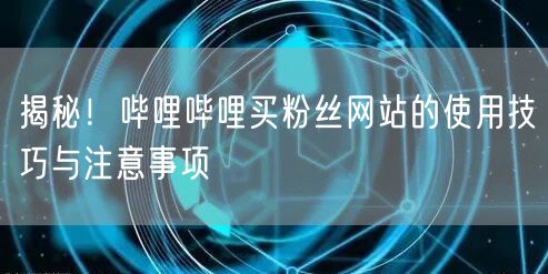 揭秘！哔哩哔哩买粉丝网站的使用技巧与注意事项