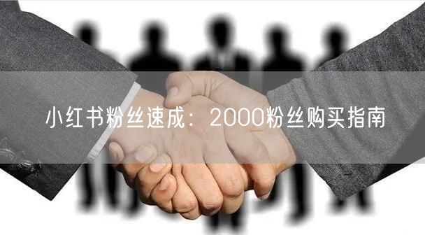 小红书粉丝速成：2000粉丝购买指南