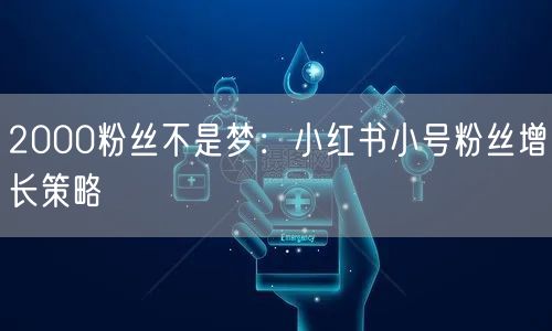 2000粉丝不是梦：小红书小号粉丝增长策略