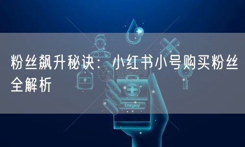 粉丝飙升秘诀：小红书小号购买粉丝全解析