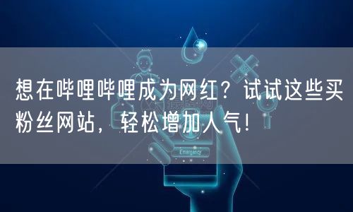 想在哔哩哔哩成为网红？试试这些买粉丝网站