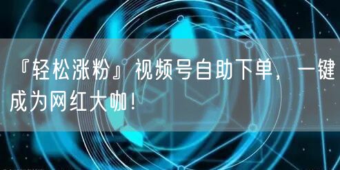 『轻松涨粉』视频号自助下单，一键成为网红
