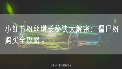 小红书粉丝增长秘诀大解密：僵尸粉购买全攻