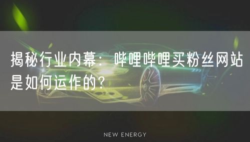 揭秘行业内幕：哔哩哔哩买粉丝网站是如何运作的？