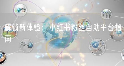 解锁新体验：小红书粉丝自助平台指南