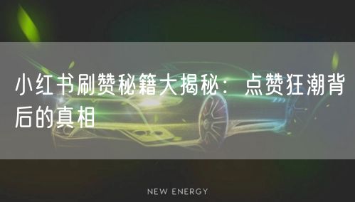 小红书刷赞秘籍大揭秘：点赞狂潮背后的真相