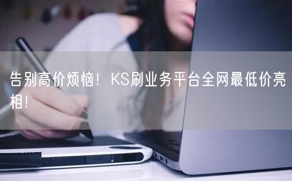 告别高价烦恼！KS刷业务平台全网最低价亮