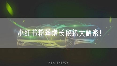 小红书粉丝增长秘籍大解密！