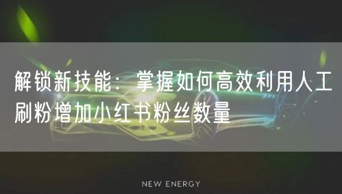 解锁新技能：掌握如何高效利用人工刷粉增加