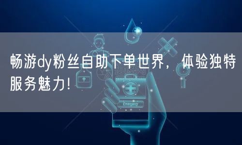 畅游dy粉丝自助下单世界，体验独特服务魅力！