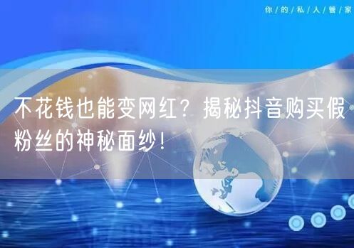 不花钱也能变网红？揭秘抖音购买假粉丝的神秘面纱！
