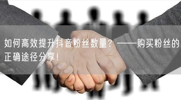 如何高效提升抖音粉丝数量？——购买粉丝的正确途径分享！