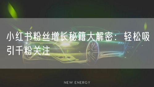 小红书粉丝增长秘籍大解密：轻松吸引千粉关注