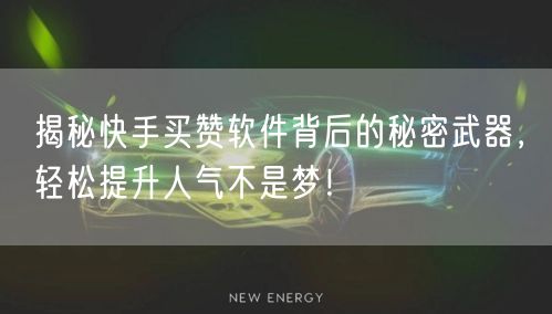 揭秘快手买赞软件背后的秘密武器，轻松提升人气不是梦！