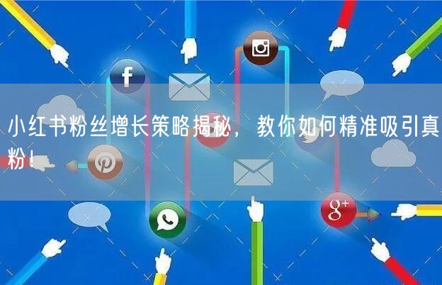 小红书粉丝增长策略揭秘，教你如何精准吸引真粉！