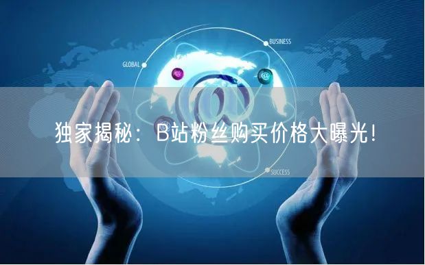 独家揭秘：B站粉丝购买价格大曝光！