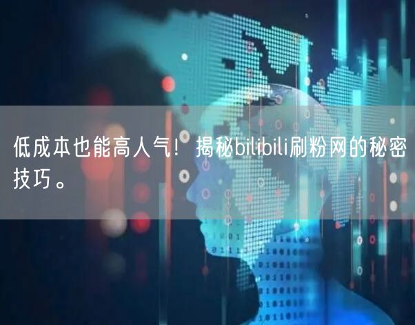 低成本也能高人气！揭秘bilibili刷粉网的秘密技巧。
