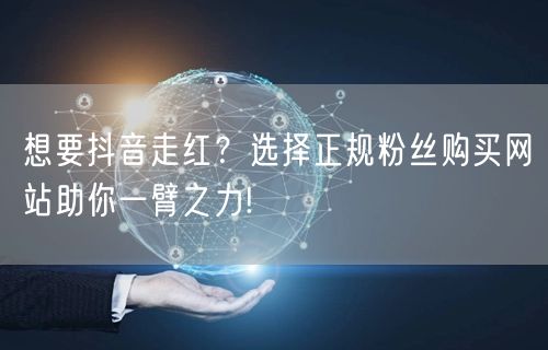 想要抖音走红？选择正规粉丝购买网站助你一臂之力!