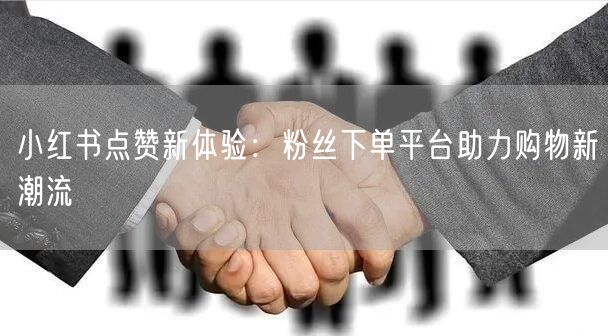 小红书点赞新体验：粉丝下单平台助力购物新潮流