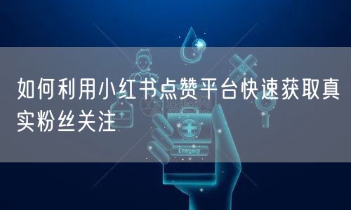 如何利用小红书点赞平台快速获取真实粉丝关注