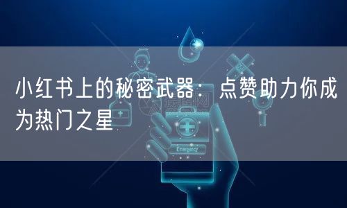 小红书上的秘密武器：点赞助力你成为热门之星
