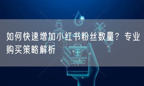 如何快速增加小红书粉丝数量？专业购买策略解析