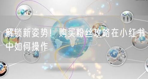 解锁新姿势！购买粉丝攻略在小红书中如何操作