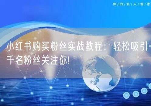 小红书购买粉丝实战教程：轻松吸引千名粉丝关注你!