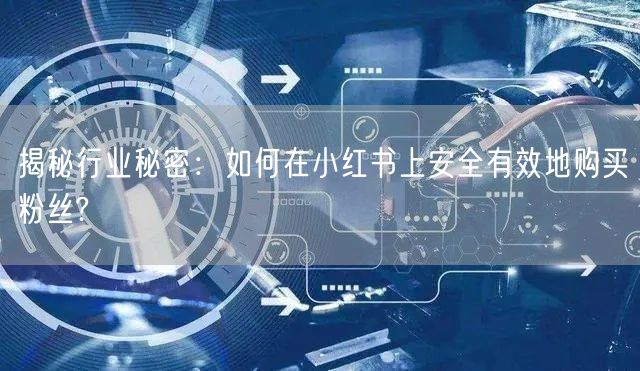 揭秘行业秘密：如何在小红书上安全有效地购买粉丝?