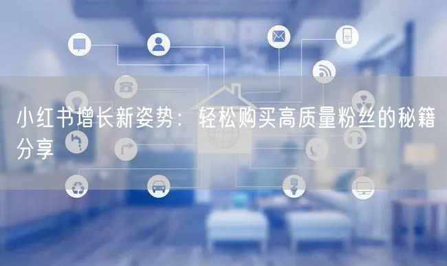 小红书增长新姿势：轻松购买高质量粉丝的秘籍分享