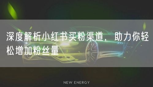 深度解析小红书买粉渠道，助力你轻松增加粉丝量
