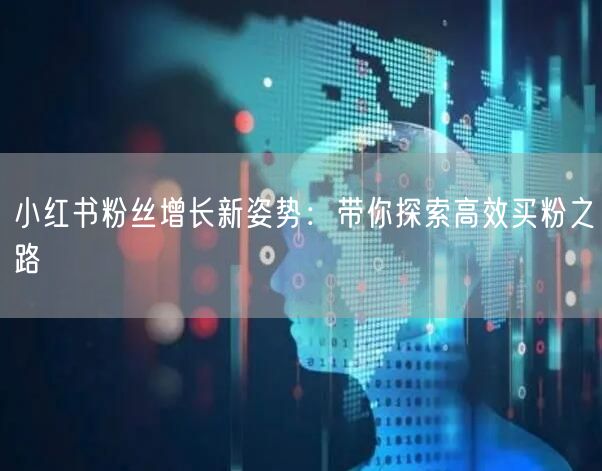 小红书粉丝增长新姿势：带你探索高效买粉之路