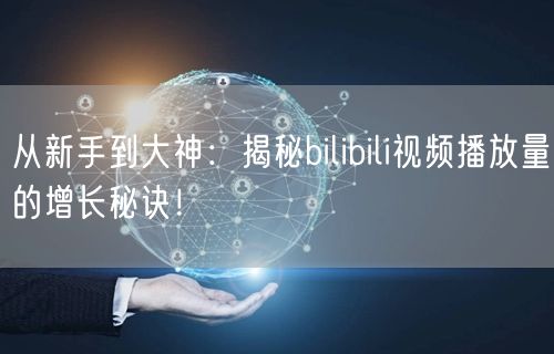 从新手到大神：揭秘bilibili视频播放量的增长秘诀！