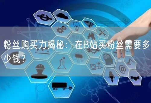 粉丝购买力揭秘：在B站买粉丝需要多少钱？