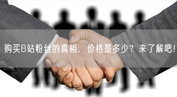 购买B站粉丝的真相，价格是多少？来了解吧！